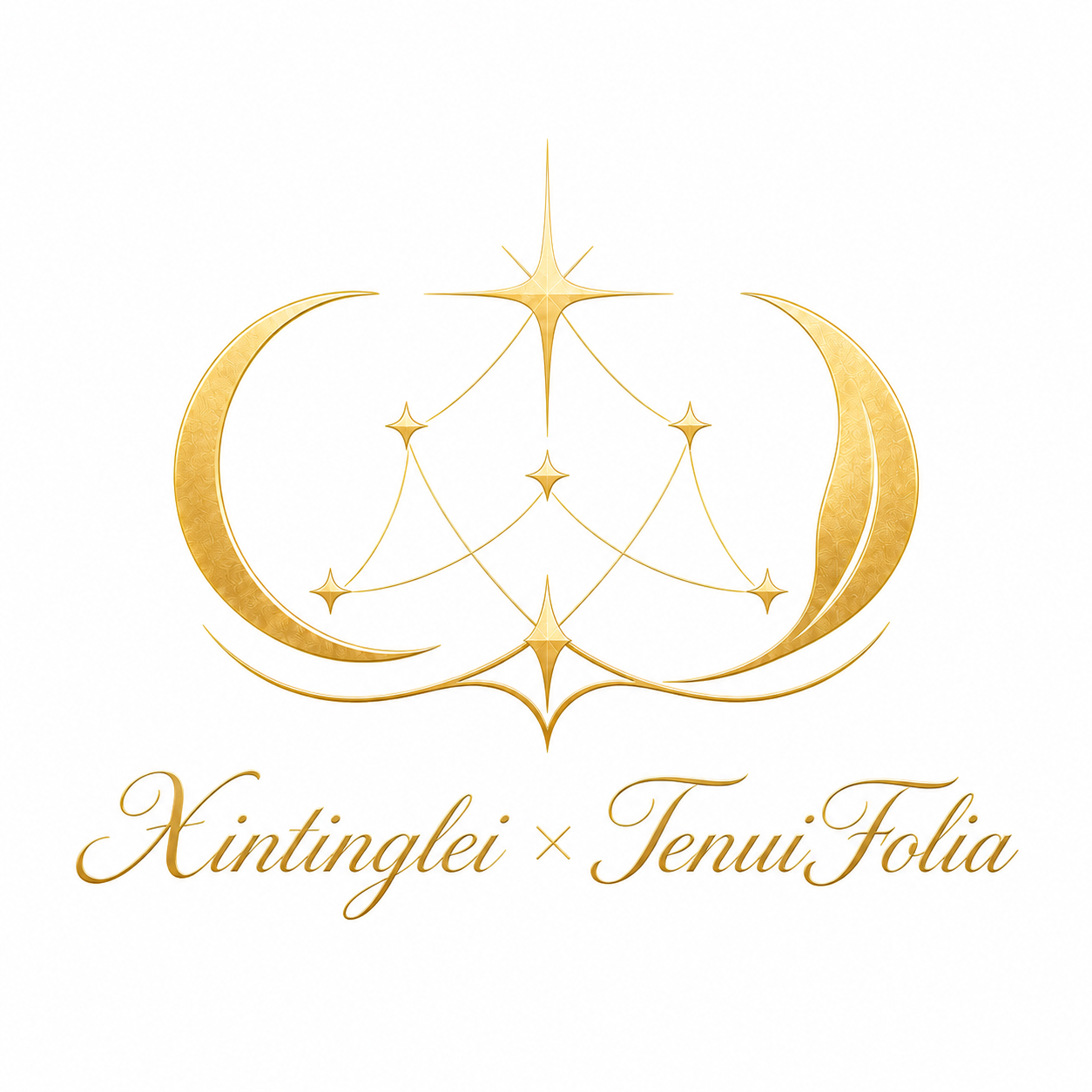 Xintinglei客户端封面